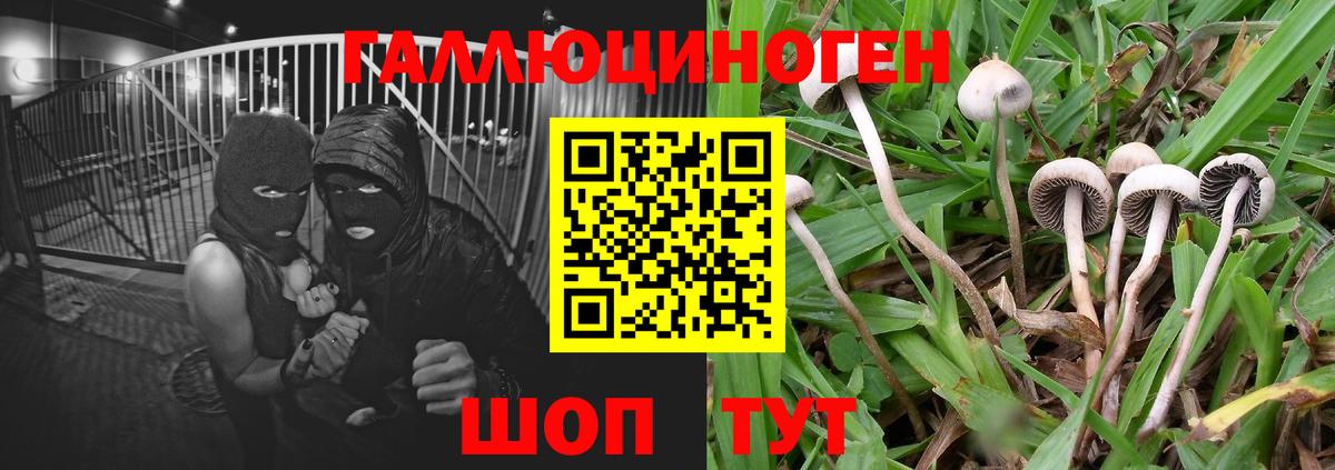 Галлюциногенные грибы Magic Shrooms  Вход с VPN  Псилоцибиновые грибы мухоморы  Керчь 
