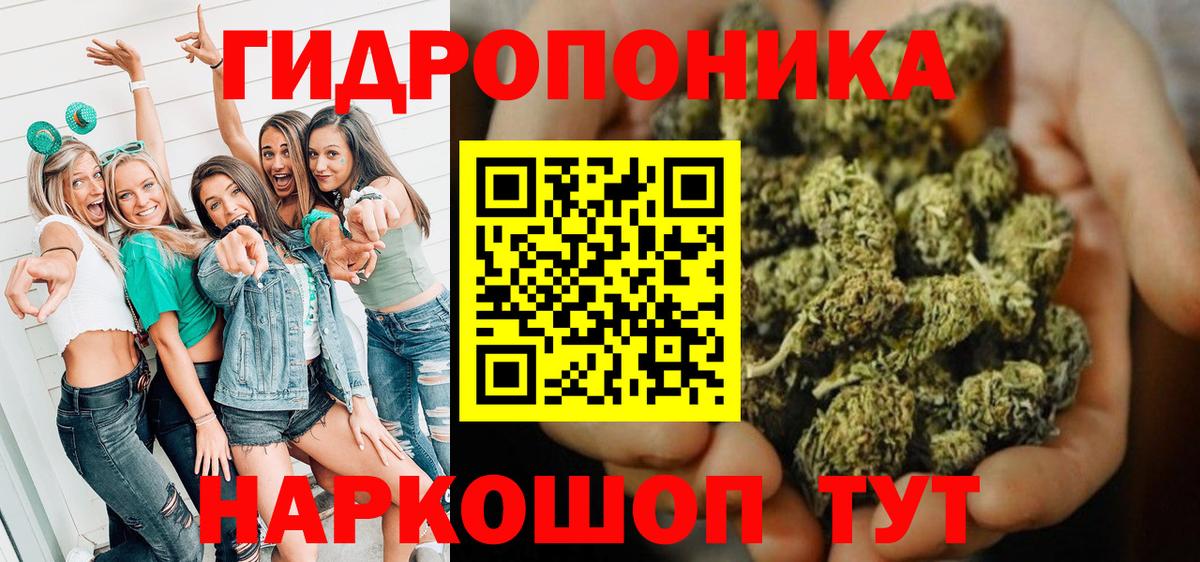 Бошки Шишки семена Керчь